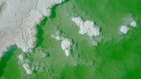 插入蜜桃：竞速新作今日上线，驾驶合成玩法引爆水果赛道狂欢