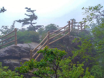 密桃AV成人:未来都市竞速巅峰,霓虹雨夜挑战极致驾驶艺术-5