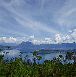 脱了老师裙子猛烈进入：极速学园谜影，夜幕赛道狂飙之谜