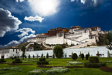 天堂8a 在线中文：竞速新纪元，开放世界驾驶冒险今日震撼上线-1