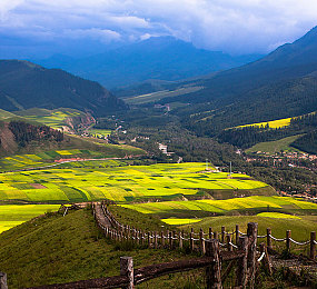 十大免费禁用软件:极限驾驶黑名单夺冠秘籍,街头传奇必备实战攻略-4