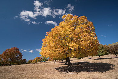 女人和公豬交内谢免费：星际基因农场，异星生存与生态改造之旅