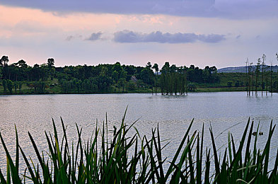 打扑克又叫又不盖被子：墨西哥夜色下的引擎交响诗，一场永不熄火的竞速狂欢