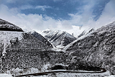 中国少妇xXx：墨色飞驰，她引擎上的东方诗篇