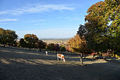 60s乐园vip日志相册：废土飞车求生指南，在末日公路书写家族生存史诗
