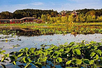 欧美一性一乱一交一视频青椒视频：霓虹雨夜狂飙，混乱都市送货实录-1