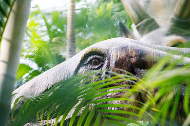 芒果视频泛黄：极限竞速地平线5推出怀旧滤镜，玩家重现老式赛车录像质感-1