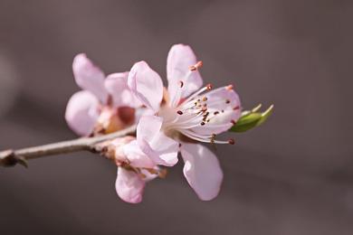 女人趴下脱了内裤光着打屁股：极速竞技场，败者滑稽秀，卡通赛车冒险之旅-3