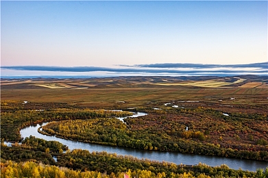OPPO黄色软件下载安装:墨西哥狂飙,打造你的终极梦想车库与竞速传奇-2