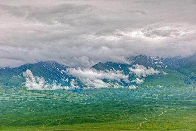 抖音风h:潮流涂装席卷地平线5,打造你的专属视觉焦点-2