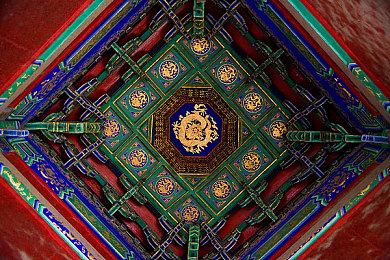 生物课上男生现场取精子:在微观世界谱写生存史诗,细胞进化开启生命起源之旅-3