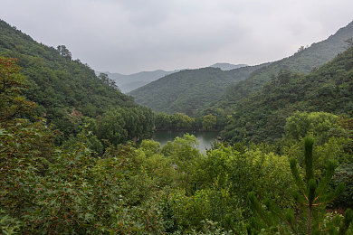 网站懂我意思吗：墨西哥画卷上，你的终极驾驶幻想与速度美学-2