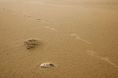 差差动漫sss：跨次元竞速新作登场，动漫美学与硬核驾驶的完美融合-2