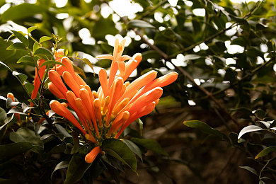 袜奴脚奴：追求极致操控，地平线5调校指南与驾驶艺术解析-3