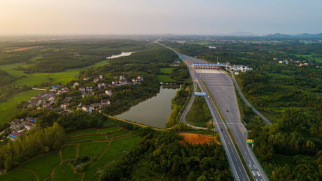 海贼王乔巴罗宾治疗毒素青春期：航海策略新作公布，双主角医术解谜拯救神秘岛屿-2