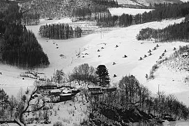 十大黄台禁用：极速驰骋，规避虚拟赛道上的驾驶误区-2