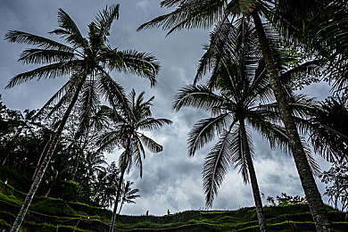 oppo3.03每天无限次破解版大全：极速都市正版攻略，零氪玩家也能畅享赛道激情-1