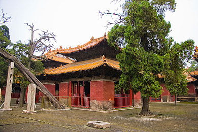 电车痴汉3:都市轨道穿梭者,虚拟驾驶竞速之旅-2