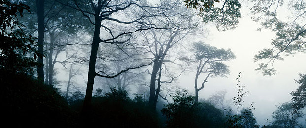 阿娇和陈冠希的图片合照：经典角色虚拟重聚，极速幻影解锁怀旧竞速新彩蛋-1