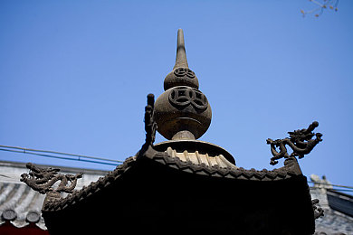 少女与猪养猪场公种猪:荒诞农场模拟新作发售,基因培育与经营挑战颠覆传统玩法-2