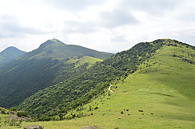 黄色APP下载3.3.0:霓虹飞驰,自定义涂装系统开启赛道艺术革命-2