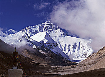 禁黄软件:霓虹都市中的道德赛车,数据净化与极速追击之旅-1