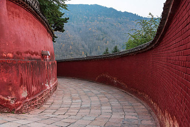 XDEVIOS中文免费版官方邮箱：极速幻影，霓虹峡谷中的改装狂飙与赛道征服