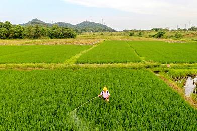 A极网站：极限竞速地平线5全新调校系统上线，打造你的专属豪车改装库-2