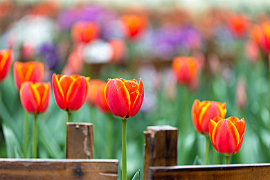 新疆军人裸体男gayboys军人性：钢铁战魂边疆守护者，硬核战术与战友羁绊的深度交织-3