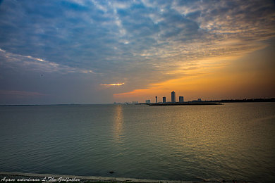 日批发软件下载：驾驭钢铁巨兽，成就物流帝国，极限卡车模拟深度体验-3