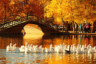 综合人人：《极速社群：街头传奇》全新赛季开启，动态声望与改装系统颠覆传统竞速体验-2