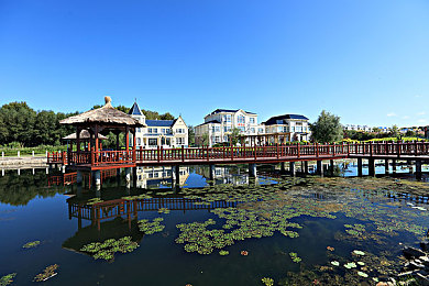 机机对机机手游免费下载：今日首发，硬核改装战车对决机甲，免费攻略揭秘制胜关键