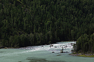网站懂我意思:墨西哥狂飙新纪元,终极调校指南揭秘S2级超跑决胜秘籍-2