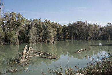 国产区一区二区三区四区：四大核心赛道全解析，征服国产竞速世界的终极攻略今日发布