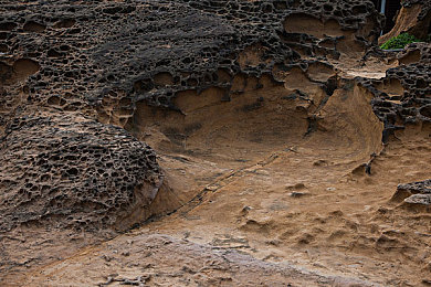男生女生搞鸡软件：极速狂飙与田园牧歌，赛道上的另类农场经营之旅