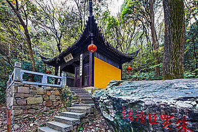 黄色应用下载3.3：落日余晖下的极速狂飙，黄昏赛道艺术之旅-2