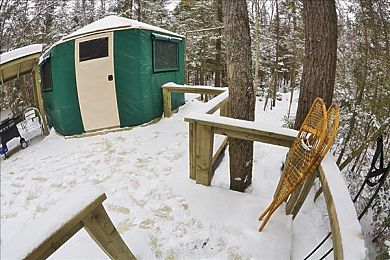国产乱伦免费：极速血脉深度评测，国产赛车新作如何打造平衡竞技体验-3