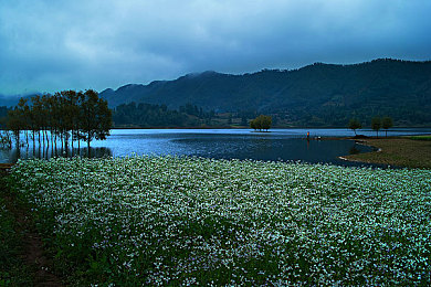 歪歪漫画网站：极速狂飙，漫画赛道上的手绘竞速风暴-4