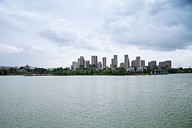 东京热成人APP：霓虹街头极速飞驰，热力追踪挑战都市夜影-2