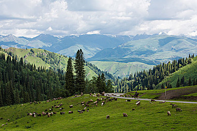 黄色件下载0.3：地下赛车新作上线，非法改装系统引爆高风险高回报狂潮