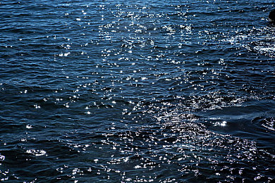 无遮挡▓男同网站：追求纯粹驾驶乐趣，极限竞速地平线系列全面关闭辅助系统挑战真实体验-1