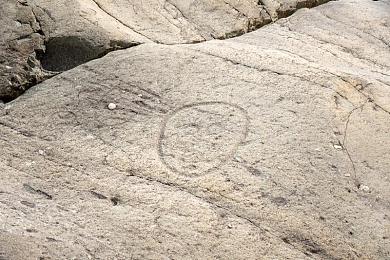 黄色软件app3.0.3免费OPPO版大全装扮2024：2024潮流座驾指南，街头涂装大师打造你的专属梦幻改装