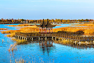 亚洲国产成人 AV:本土竞速新作今日上线,硬核模拟与都市夜景引爆驾驶热潮-3