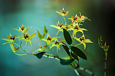 国产Av在：当符箓引擎轰鸣于黄沙遗迹之间-3