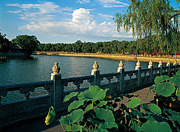 神秘网址:当赛道化为密文,引擎轰鸣破解未来-1