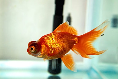 国产av黄色：霓虹幻影中疾驰的量子幻光，赛道传奇的终极平衡艺术-2