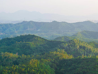 78m隐藏通道5：霓虹深渊，午夜微光下的永恒氮气秘径-3