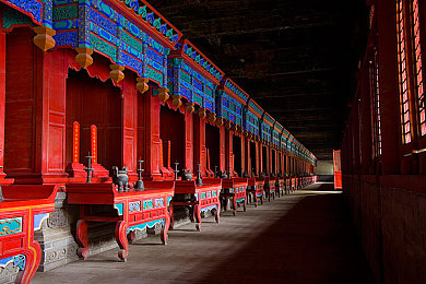 黄页404：在数据废墟中疾驰，追寻失落协议的赛车传说