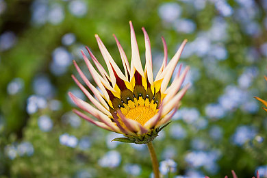 亚洲黑料吃瓜:探索隐藏剧情,揭秘赛车游戏背后的开发秘辛-1