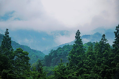 18款黄色软件:极速驾驭视觉风暴,盘点经典赛车游戏的色彩激情-4